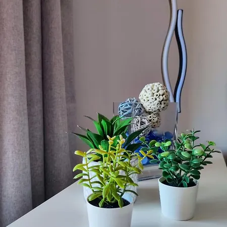 Adeje * Playa Paraiso (Tenerife)